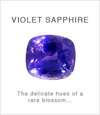 Violet Sapphire